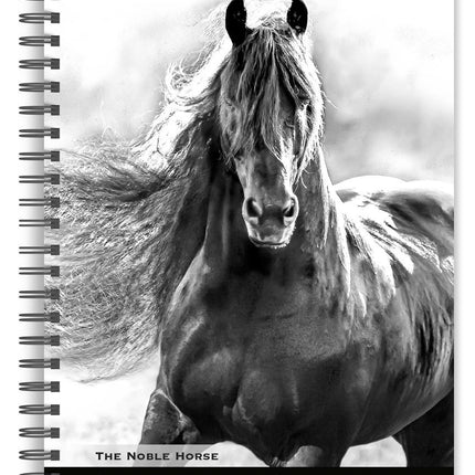 Browntrout The Noble Horse Agenda 2026