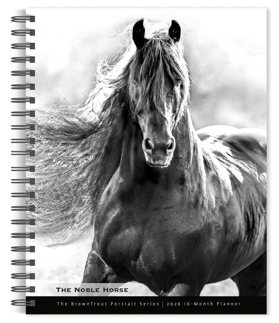 Browntrout The Noble Horse Agenda 2026