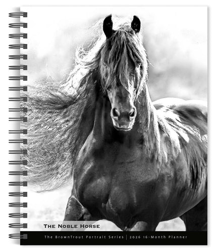 Browntrout The Noble Horse Agenda 2026
