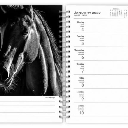 Browntrout The Noble Horse Agenda 2027