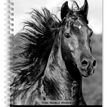 Browntrout The Noble Horse Agenda 2027