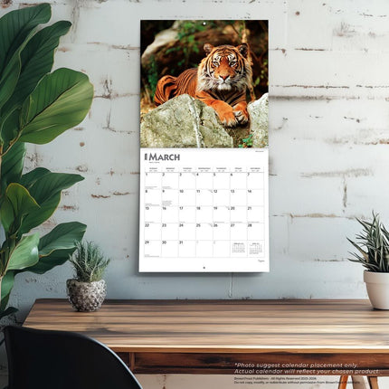 Browntrout Tijger Kalender 2026