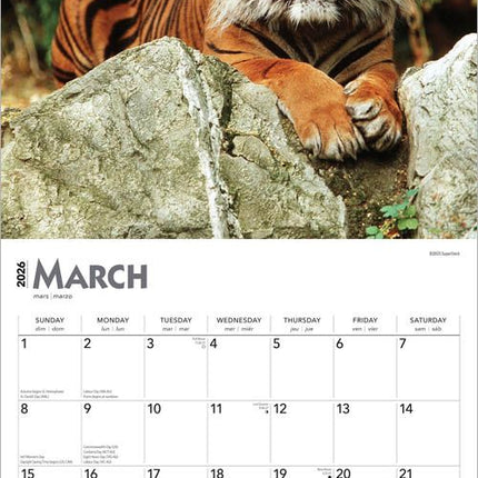 Browntrout Tijger Kalender 2026