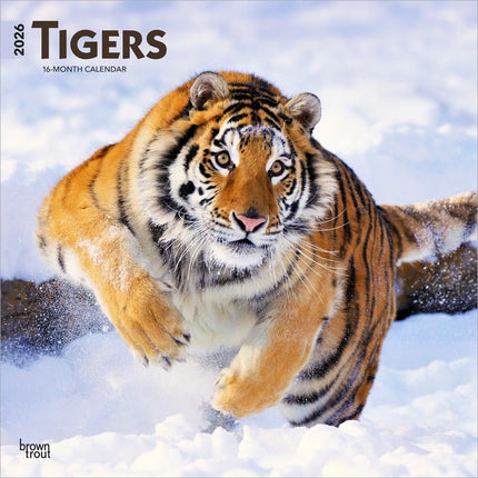 Browntrout Tijger Kalender 2026