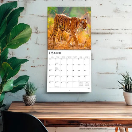 Browntrout Tijger Kalender 2027