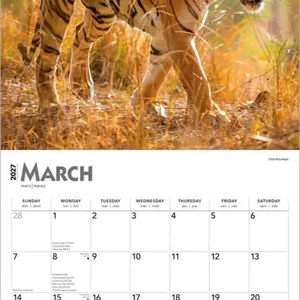Browntrout Tijger Kalender 2027