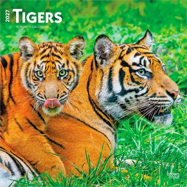 Browntrout Tijger Kalender 2027