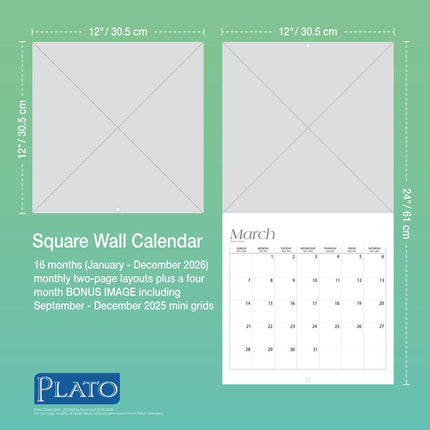 Browntrout Tropical Islands Kalender 2026