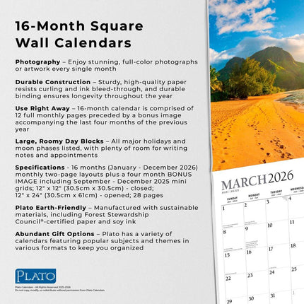 Browntrout Tropical Islands Kalender 2026