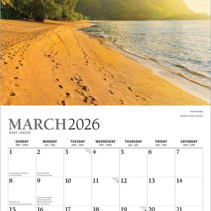 Browntrout Tropical Islands Kalender 2026