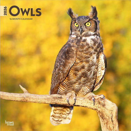 Browntrout Uilen Kalender 2026