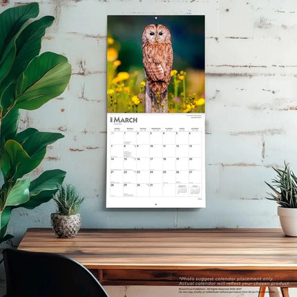 Browntrout Uilen Kalender 2027