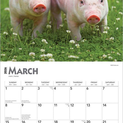 Browntrout Varken Kalender 2026