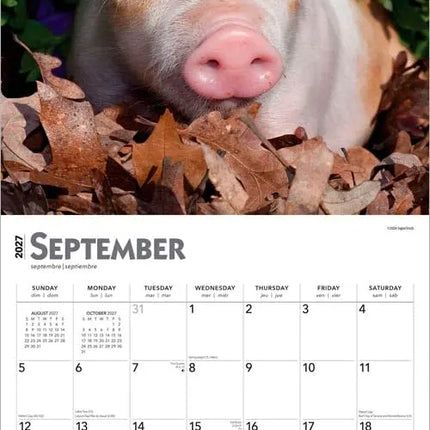 Browntrout Varken Kalender 2027