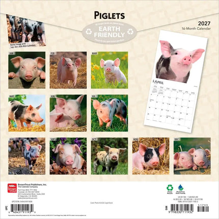 Browntrout Varken Kalender 2027