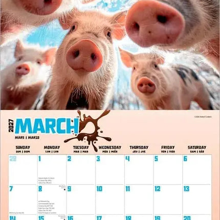 Browntrout Varkens Party Kalender 2027
