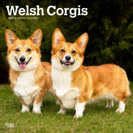 Browntrout Welsh Corgi Kalender 2025
