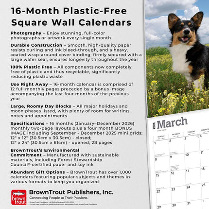 Browntrout Welsh Corgi Kalender 2026
