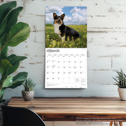 Browntrout Welsh Corgi Kalender 2026
