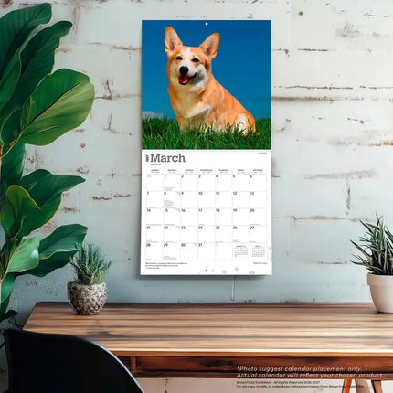 Browntrout Welsh Corgi Kalender 2027