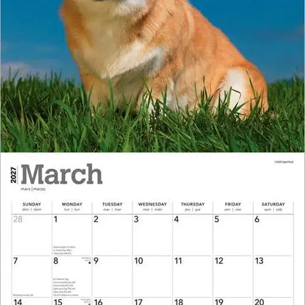 Browntrout Welsh Corgi Kalender 2027
