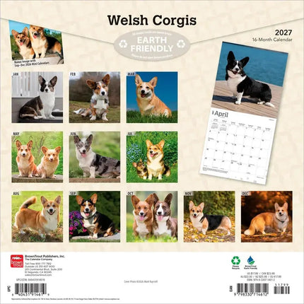Browntrout Welsh Corgi Kalender 2027