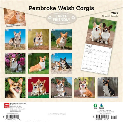 Browntrout Welsh Corgi Pembroke Kalender 2027