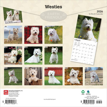 Browntrout West Highland White Terrier Kalender 2027