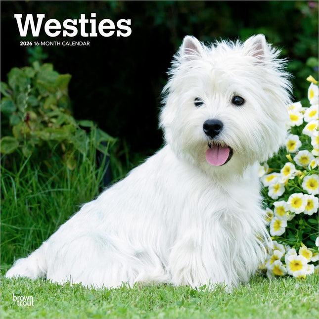 Browntrout West Highland White Terrier Kalender 2027