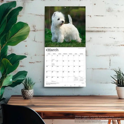 Browntrout West Highland White Terrier Kalender 2027