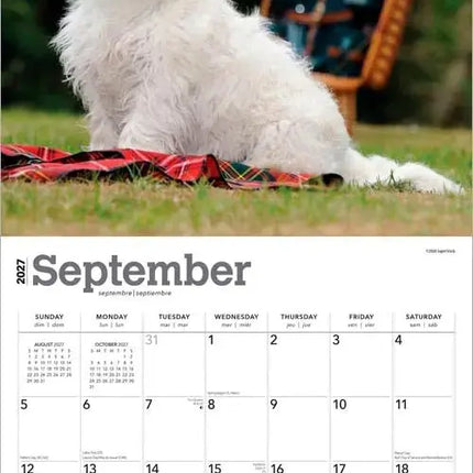 Browntrout West Highland White Terrier Kalender 2027