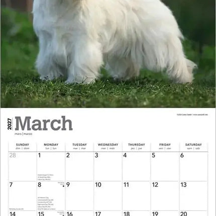 Browntrout West Highland White Terrier Kalender 2027