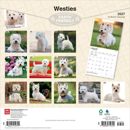 Browntrout West Highland White Terrier Kalender 2027