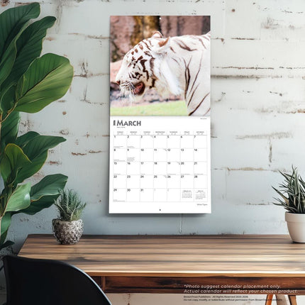 Browntrout Witte Tijger Kalender 2026
