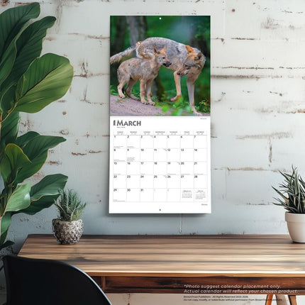 Browntrout Wolven Kalender 2027