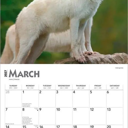 Browntrout Wolven Kalender 2027