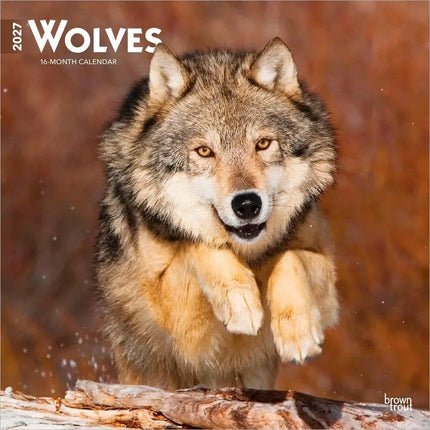 Browntrout Wolven Kalender 2027