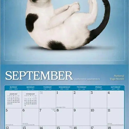 Browntrout Yoga Cats Kalender 2027