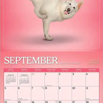 Browntrout Yoga Dogs Kalender 2027