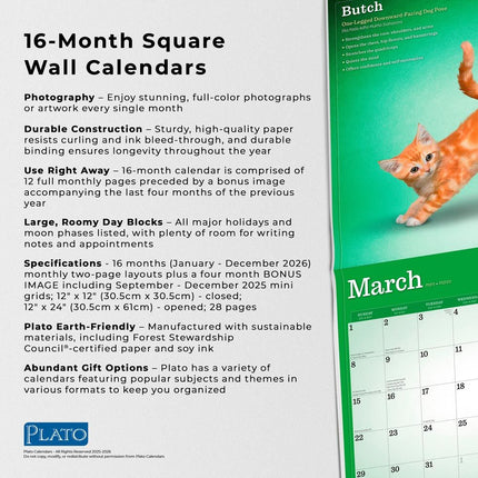 Browntrout Yoga Kittens Kalender 2026