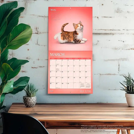 Browntrout Yoga Kittens Kalender 2027