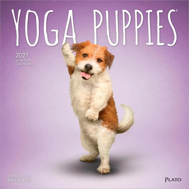 Browntrout Yoga Puppies Kalender 2027