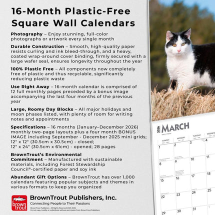 Browntrout Zwart Wit Katten Kalender 2026