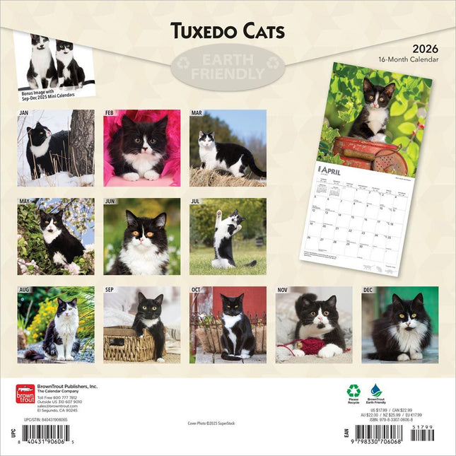 Browntrout Zwart Wit Katten Kalender 2026
