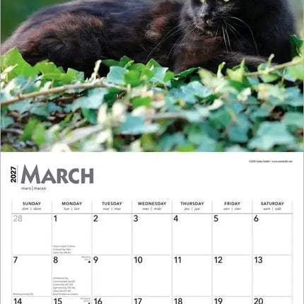 Browntrout Zwarte Katten Kalender 2027