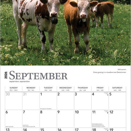 Browntrout Zwitserland / Switzerland Kalender 2026