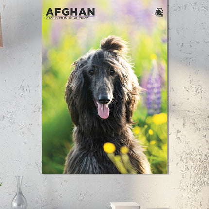 CalendarsRUs Afghaanse Windhond A3 Kalender 2026