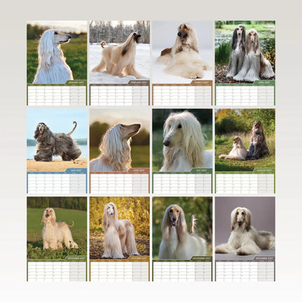CalendarsRUs Afghaanse Windhond A3 Kalender 2027