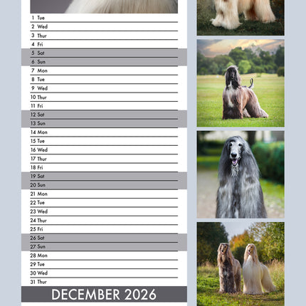 CalendarsRUs Afghaanse Windhonden Slimline Kalender 2026