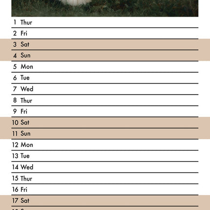 CalendarsRUs Afghaanse Windhonden Slimline Kalender 2026
